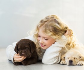 Stock Photo The little girl and Labrador 06