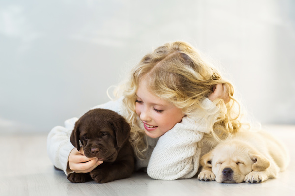 Stock Photo The little girl and Labrador 06