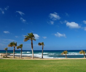 Sunny sky with coconut trees on the beach Stock Photo
