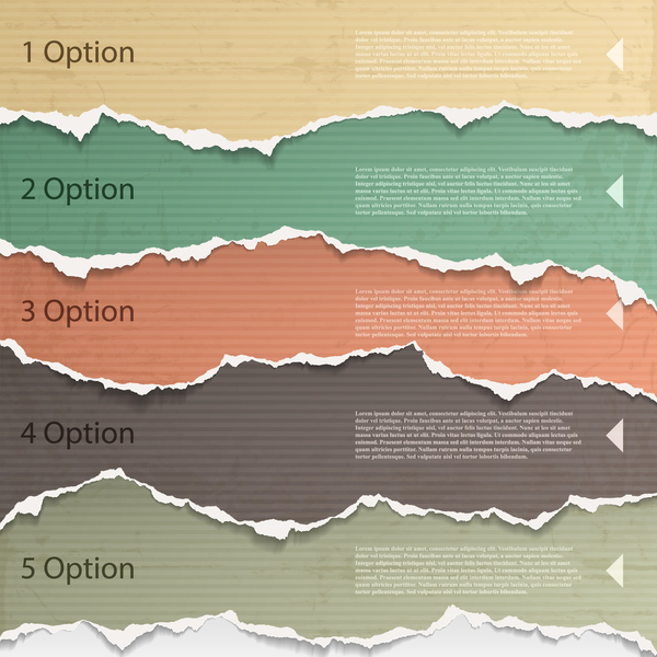 Torn paper option infographic vector template