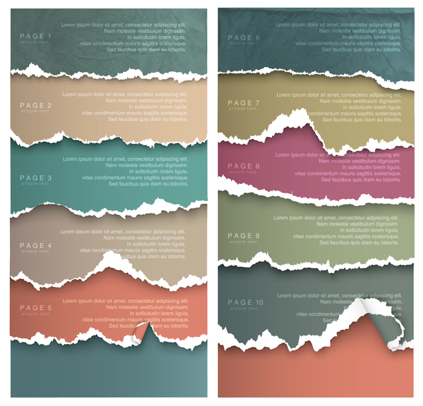 Torn paper with page background vector 02