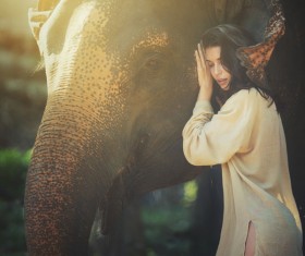 Touch the elephant woman Stock Photo