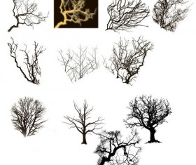 Tree branch photoshop brushes