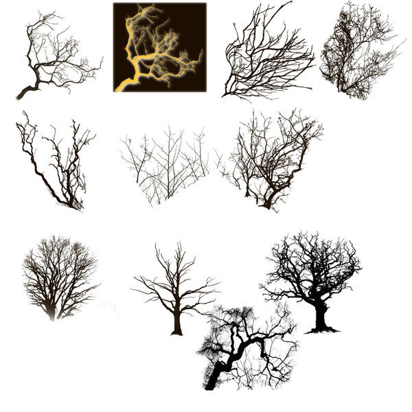 Tree branch photoshop brushes