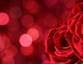 Valentine's Day 2017 Stock Photo 06