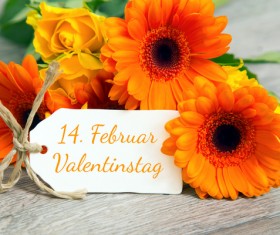 Valentine's Day Flowers Bouquet Stock Photo 03