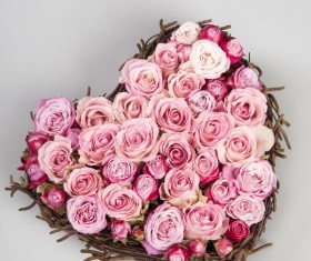 Valentine's Day Rose Love Stock Photo