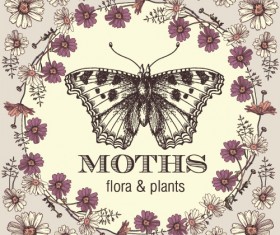 Vintage frame with butterfly greeting card vector 07