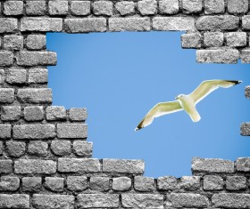 Wall holes to freedom Stock Photo 04