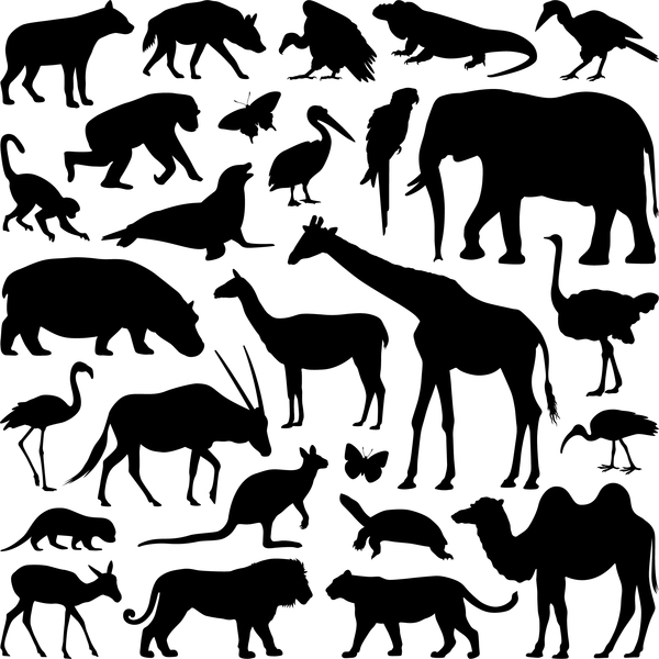 Svg Animal Silhouettes : Dinosaur SVG, Animals SVG, Dinosaur Silhouette