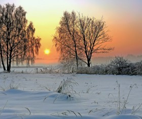 Winter at dusk Stock Photo 01