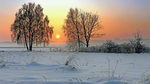Winter at dusk Stock Photo 01
