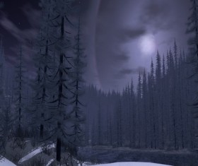 Winter night forest Stock Photo