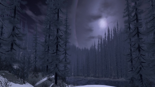 Winter night forest Stock Photo