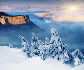 Winter snow Stock Photo