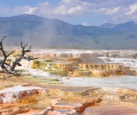 Yellowstone Park Stock Photo