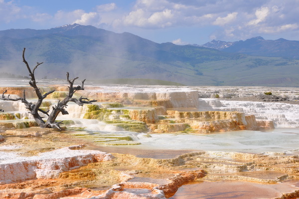 Yellowstone Park Stock Photo