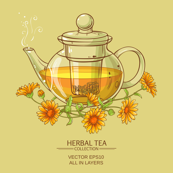 calendula tea teapot vector background 01