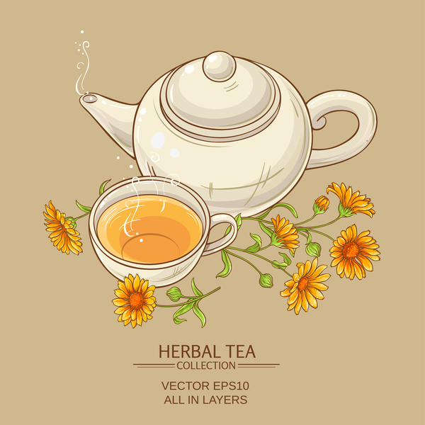 calendula tea teapot vector background 02