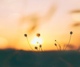 dusk Stock Photo
