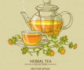 saflower tea vector background 02