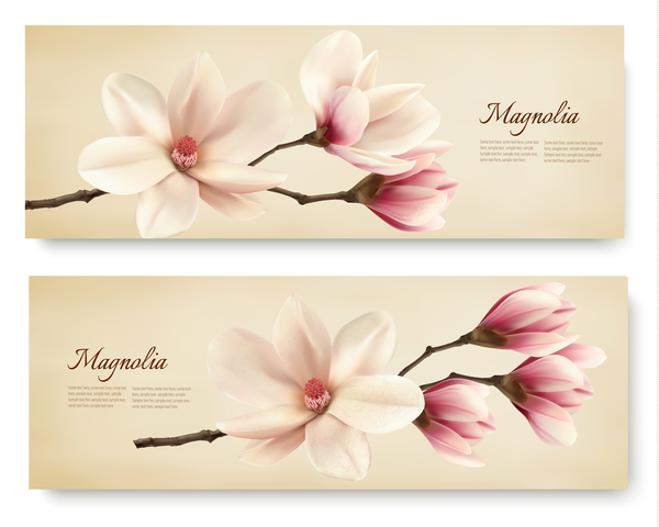 Spring nature banners with white magnolia vector