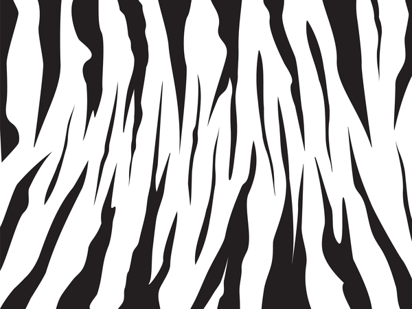 zebra seamless pattern material vectors set 03