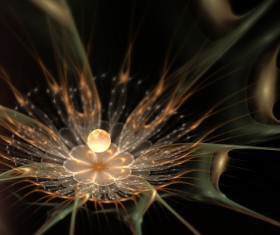 Abstract fractal flower Stock Photo 06