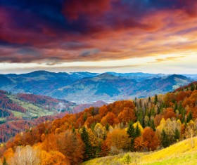 Amazing nature HD picture 03