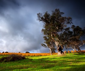 Amazing nature HD picture 04