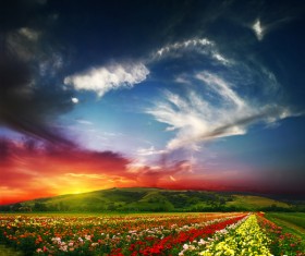 Amazing nature HD picture 05