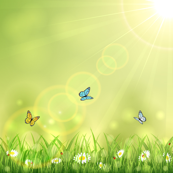 Background with butterflies vector material