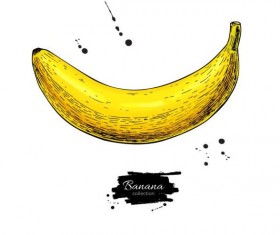 Banana hand darwing vector material 03