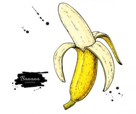 Banana hand darwing vector material 04