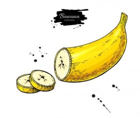 Banana slice hand darwing vector