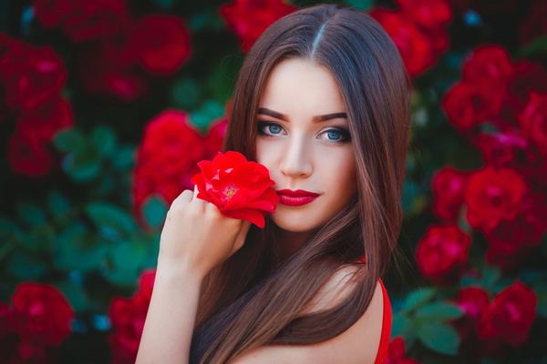 Beautiful girl hand holding red flowers Stock Photo