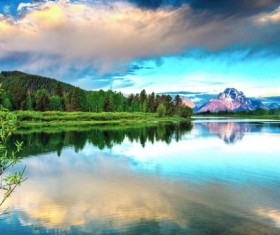 Beautiful nature gold Stock Photo