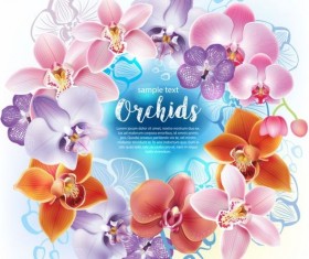 Beautiful orchids flowers vector backgrounds 01