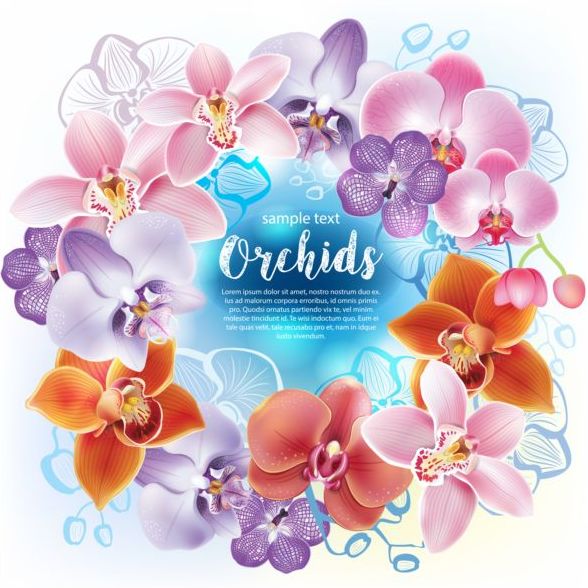 Beautiful orchids flowers vector backgrounds 01