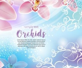 Beautiful orchids flowers vector backgrounds 02