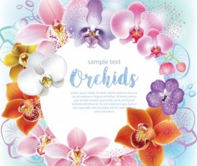 Beautiful orchids flowers vector backgrounds 04