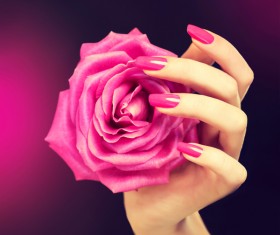 Beautiful pink nail HD picture 03