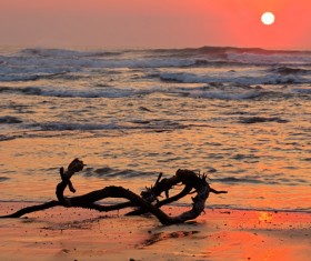 Beautiful sunset sea view HD picture 02