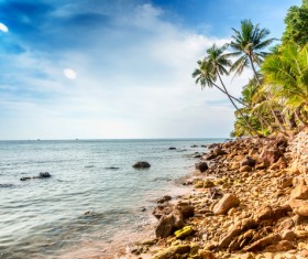 Beautiful tropical beach Stock Photo