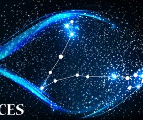 Beautiful zodiac background vector material 02