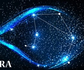 Beautiful zodiac background vector material 05