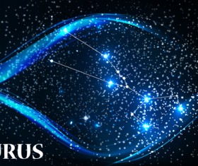 Beautiful zodiac background vector material 06