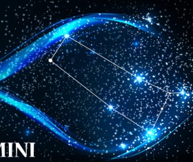 Beautiful zodiac background vector material 08