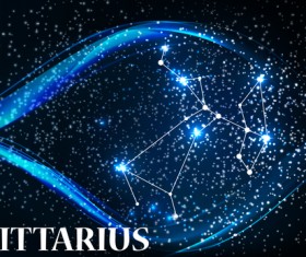 Beautiful zodiac background vector material 10