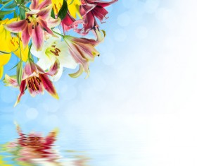 Blue sky background with flowers HD picture